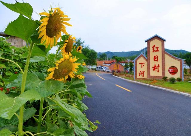 這首歌很多人聽過，卻不一定知道還跟蒙陰一個小山村有淵源