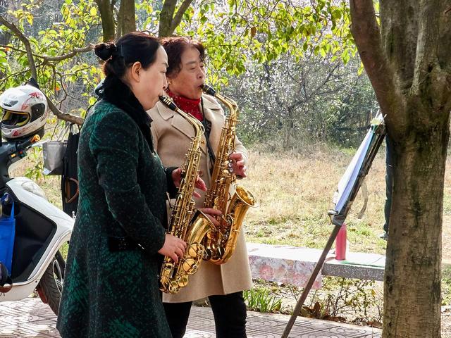 小樹林里的管樂隊——寶雞市渭河公園薩克斯群活動側記