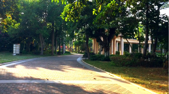 濱海公園應(yīng)該是海口最不起眼的公園吧，但也是美美噠，不信你看