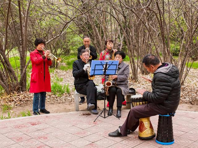 小樹林里的管樂隊——寶雞市渭河公園薩克斯群活動側記