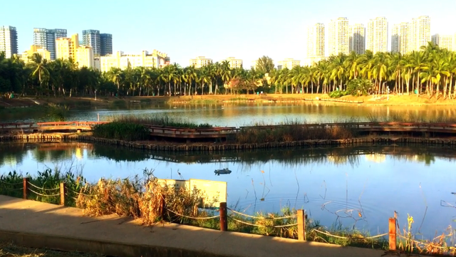 濱海公園應(yīng)該是海口最不起眼的公園吧，但也是美美噠，不信你看