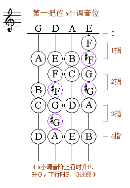 小提琴一把位常用的七個小調(diào)全了，仍然按三升、C、三降順序來記