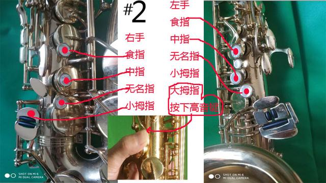 零基礎學吹中音薩克斯基本指法（bE調）的半音指法