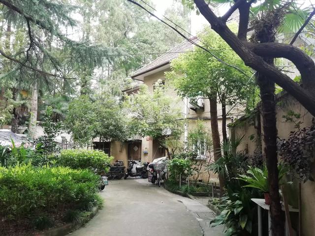 一條有故事的“西路”，張愛玲史良等住過，至今余韻不絕