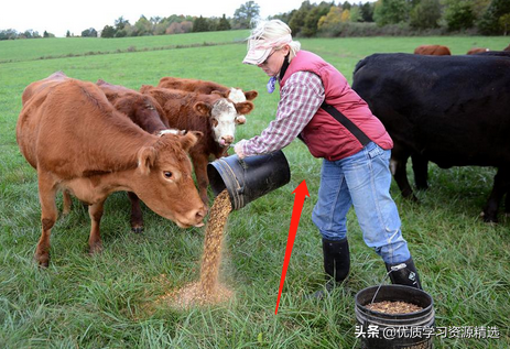 英語詞匯：與職業相關的單詞學習與練習