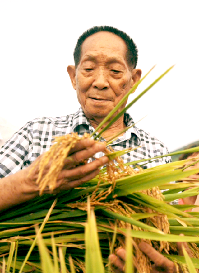 「新華悅聽」母愛的學(xué)問｜袁隆平：媽媽，稻子熟了