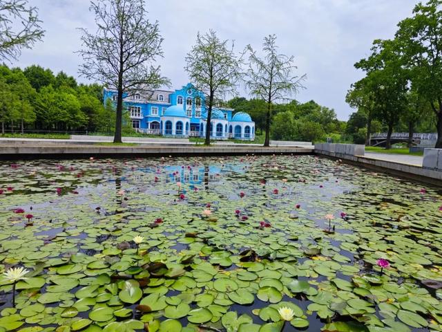 閔行文化公園再添新功能！“迷你音樂會”今起每周六上演……