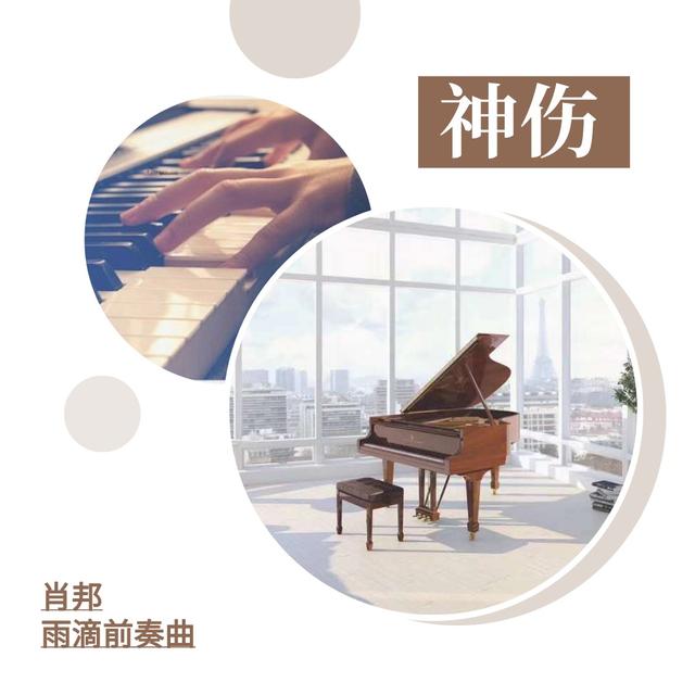 8首治愈系鋼琴曲，哪首打動了你？