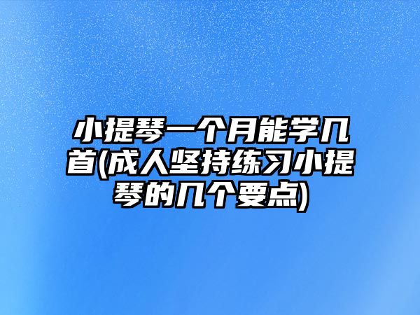 小提琴一個月能學幾首(成人堅持練習小提琴的幾個要點)