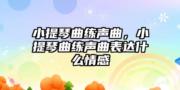 小提琴曲練聲曲，小提琴曲練聲曲表達(dá)什么情感