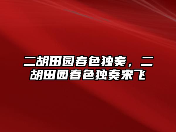 二胡田園春色獨奏，二胡田園春色獨奏宋飛