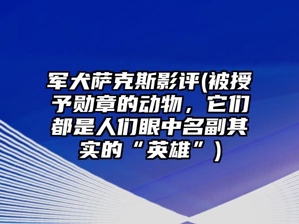 軍犬薩克斯影評(被授予勛章的動物，它們都是人們眼中名副其實的“英雄”)