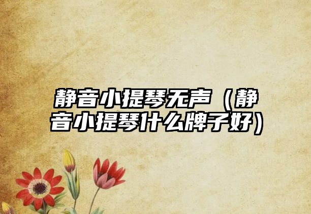 靜音小提琴無聲（靜音小提琴什么牌子好）