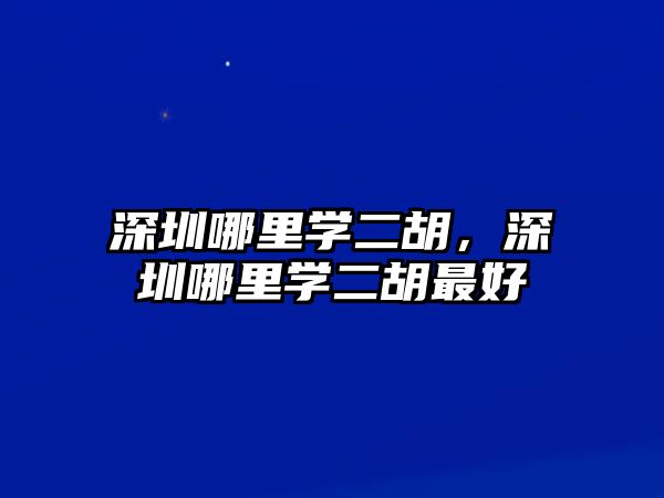 深圳哪里學二胡，深圳哪里學二胡最好