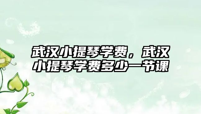 武漢小提琴學(xué)費，武漢小提琴學(xué)費多少一節(jié)課