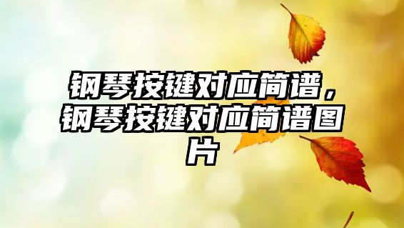 鋼琴按鍵對應(yīng)簡譜，鋼琴按鍵對應(yīng)簡譜圖片