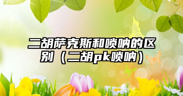 二胡薩克斯和嗩吶的區別（二胡pk嗩吶）