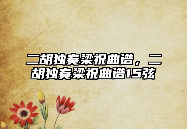 二胡獨(dú)奏梁祝曲譜，二胡獨(dú)奏梁祝曲譜15弦