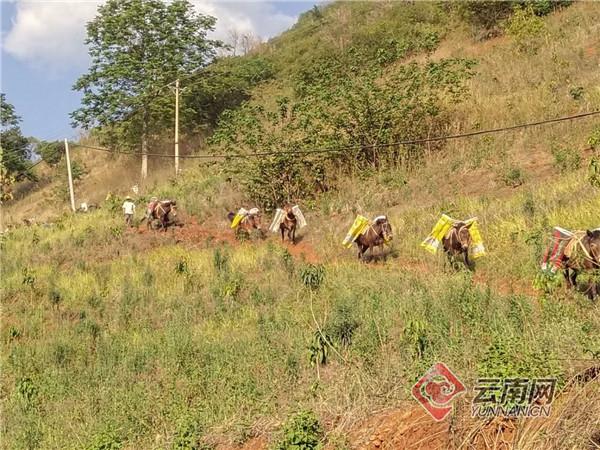 望遠鏡小伙的喬遷夢——怒江州易地扶貧搬遷項目安置點見聞