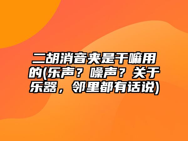 二胡消音夾是干嘛用的(樂聲？噪聲？關于樂器，鄰里都有話說)