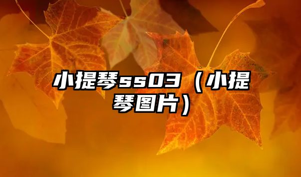 小提琴ss03（小提琴圖片）