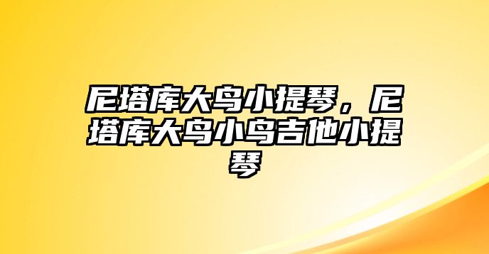 尼塔庫大鳥小提琴，尼塔庫大鳥小鳥吉他小提琴