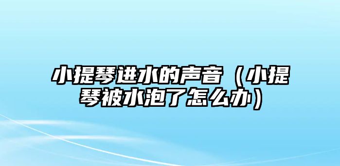 小提琴進水的聲音（小提琴被水泡了怎么辦）