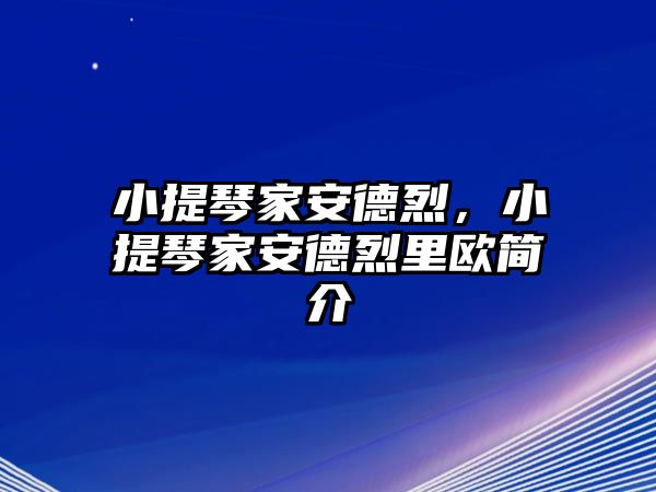 小提琴家安德烈，小提琴家安德烈里歐簡(jiǎn)介