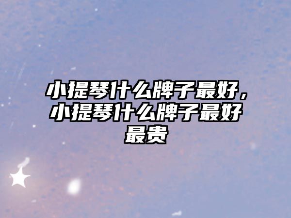 小提琴什么牌子最好，小提琴什么牌子最好最貴