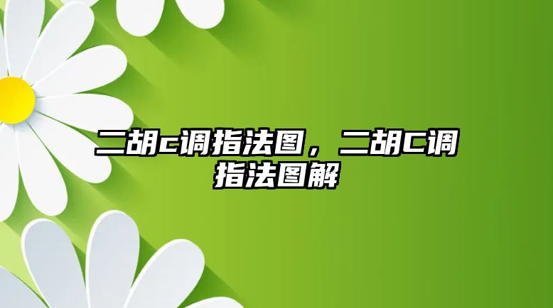 二胡c調指法圖，二胡C調指法圖解