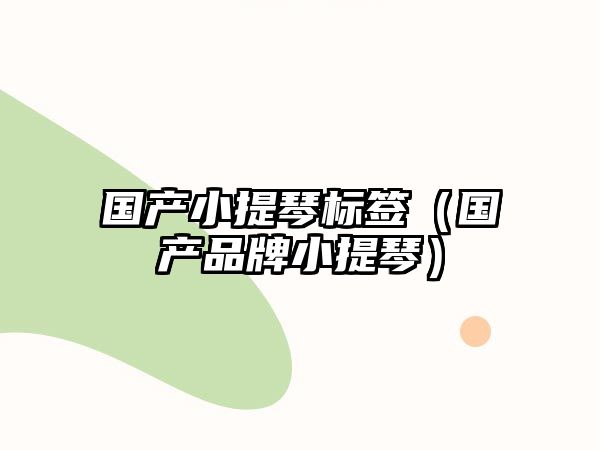 國產小提琴標簽（國產品牌小提琴）