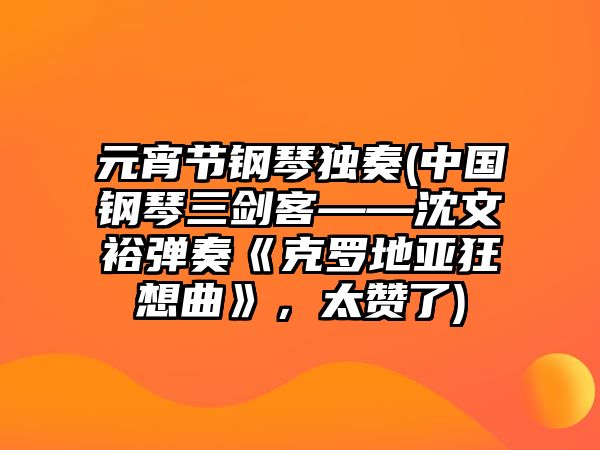 元宵節(jié)鋼琴獨(dú)奏(中國(guó)鋼琴三劍客——沈文裕彈奏《克羅地亞狂想曲》，太贊了)