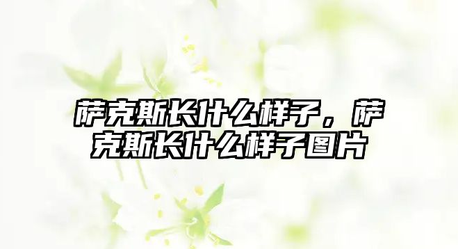 薩克斯長什么樣子，薩克斯長什么樣子圖片