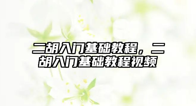 二胡入門基礎教程，二胡入門基礎教程視頻