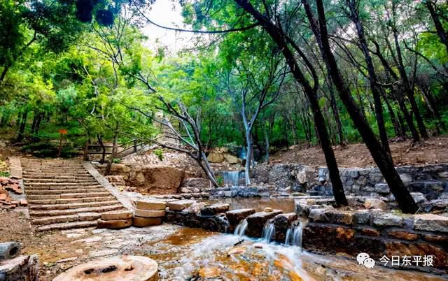 “生態(tài)東平湖 文旅康養(yǎng)地”2021東平秋季文旅采風(fēng)活動(dòng)掠影