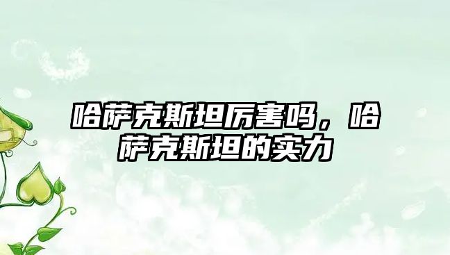 哈薩克斯坦厲害嗎，哈薩克斯坦的實力