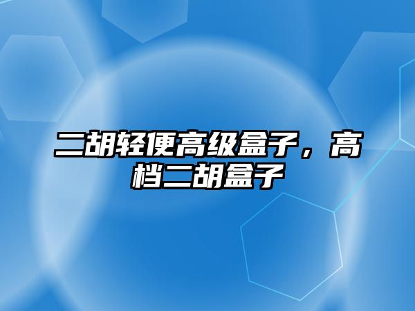 二胡輕便高級(jí)盒子，高檔二胡盒子