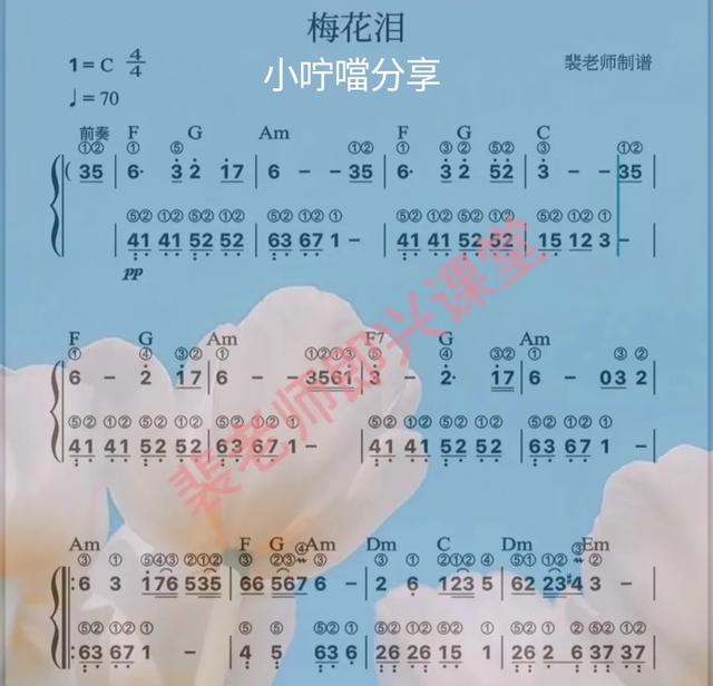 電子琴鋼琴譜《萬水千山總是情》《梅花淚》《在水一方》