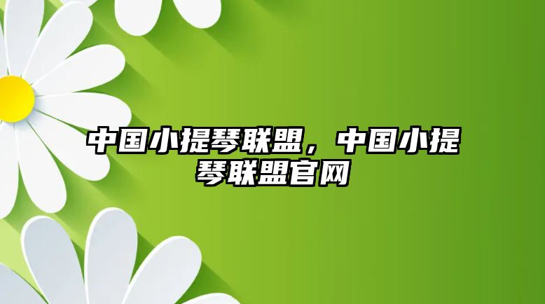 中國小提琴聯(lián)盟，中國小提琴聯(lián)盟官網(wǎng)