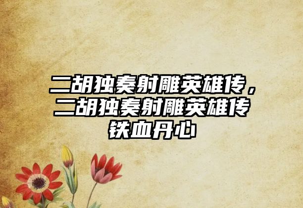 二胡獨奏射雕英雄傳，二胡獨奏射雕英雄傳鐵血丹心