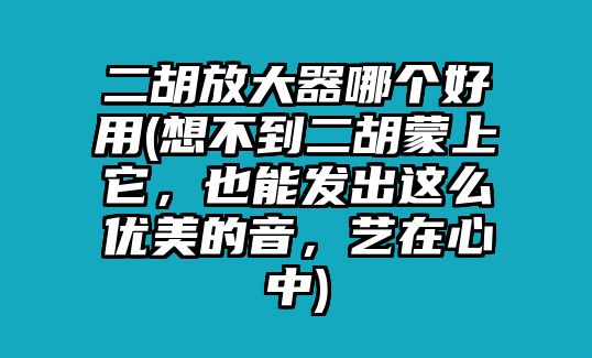 二胡放大器哪個好用(想不到二胡蒙上它，也能發出這么優美的音，藝在心中)