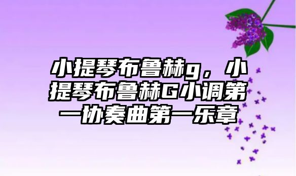 小提琴布魯赫g，小提琴布魯赫G小調第一協奏曲第一樂章