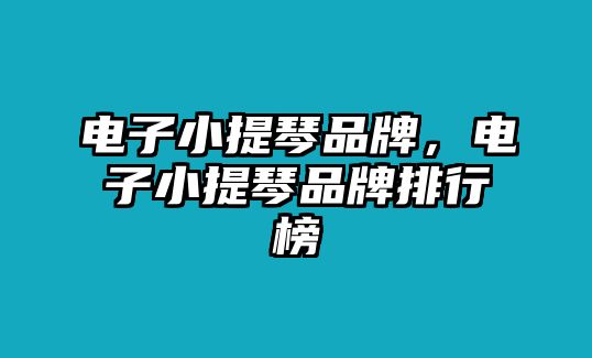 電子小提琴品牌，電子小提琴品牌排行榜