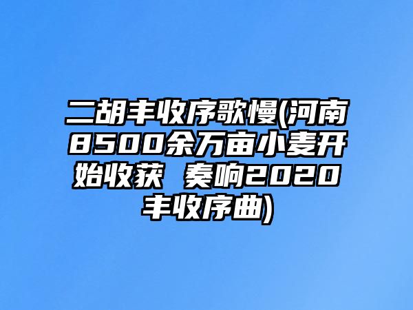 二胡豐收序歌慢(河南8500余萬畝小麥開始收獲 奏響2020豐收序曲)