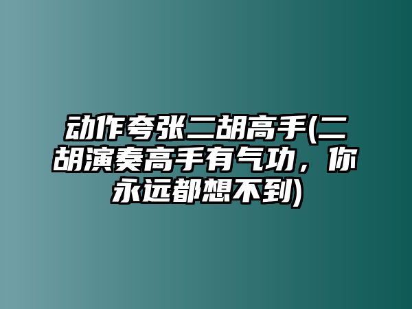 動(dòng)作夸張二胡高手(二胡演奏高手有氣功，你永遠(yuǎn)都想不到)