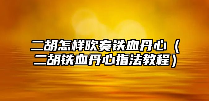 二胡怎樣吹奏鐵血丹心（二胡鐵血丹心指法教程）