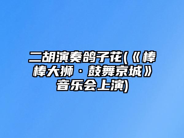 二胡演奏鴿子花(《棒棒大獅·鼓舞京城》音樂會上演)