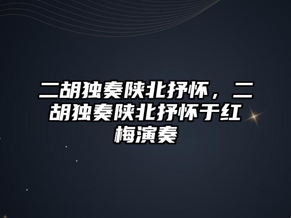 二胡獨奏陜北抒懷，二胡獨奏陜北抒懷于紅梅演奏