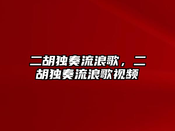 二胡獨奏流浪歌，二胡獨奏流浪歌視頻