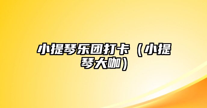 小提琴樂團打卡（小提琴大咖）